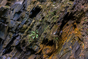 stone rock, graphic photo