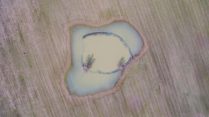 Primavera en el campo