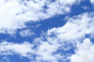 Fototapeta premium White clouds