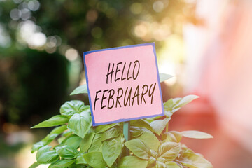 Writing note showing Hello February. Business concept for greeting used when welcoming the second month of the year Plain paper attached to stick and placed in the grassy land