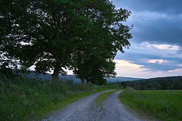 Feldweg durch Natur in l&auml;ndlicher Gegend mit gr&uuml;nen Wiesen und B&auml;umen