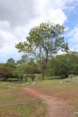 Allée du cimetière Bukit Cina à Malacca, Malaisie	