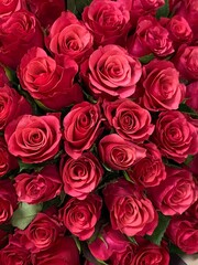 bunch of roses