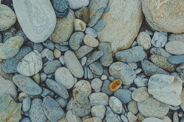 pebbles on the coast in summer