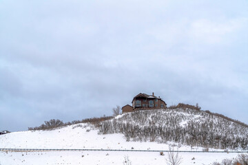 Home on top of a hill with leafless plants and fresh snow on the slope in winter