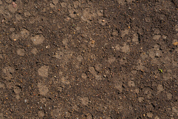 Texture of earth and sand and small stones after rain.