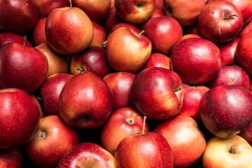 tas de pomme à manger