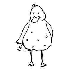 vector doodle icon of a hand-drawn duck. isolated on a white background. farm bird. graphic decorative element.