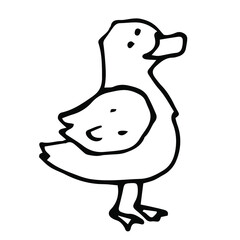 vector doodle outline icon of a hand-drawn duck. isolated on a white background. domestic farm poultry.