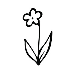 vector doodle hand drawn icon of a flower. isolated on a white background. natural graphic decorative element.
