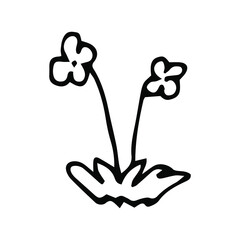 vector doodle hand drawn icon of a flower. isolated on a white background. natural graphic decorative element.