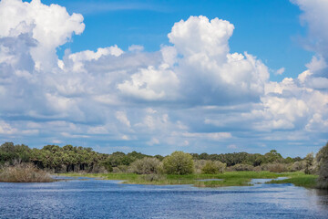 Myakka State Park in Florida during flood season