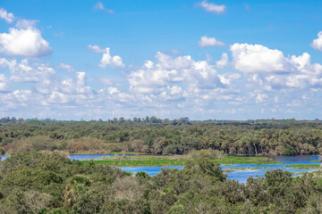 Myakka State Park in Florida during flood season