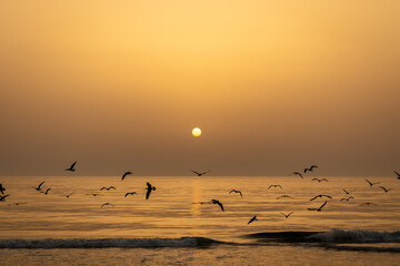 Mira beach with seagulls flying with a fantastic sunset in the background , Portugal