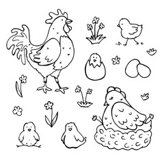 vector set of cute cartoon hand-drawn farm birds. isolated on a white background. icons of a rooster, a hen on a roost, chickens, eggs and flowers. heroes of folk tales, coloring page.
