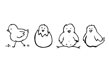 vector set of cute cartoon hand-drawn little chickens. isolated on a white background. bird doodle icons.
