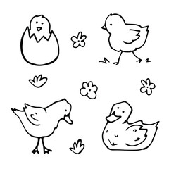 vector Doodle set with drawings of domestic farm birds. icons of ducks, chicks, ducklings, eggs, flowers. isolated on a white background.