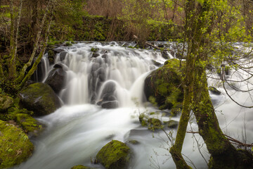 Fototapeta na wymiar Soft waterfall in tropical river , landscape of nature waterfalls, Viseu , Portugal