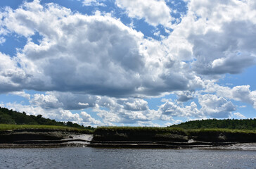 Fluffy White Clouds Hanging Over Marsh Grass
