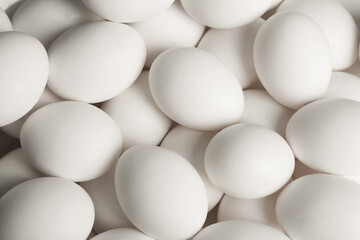Fresh raw white chicken eggs as background, top view