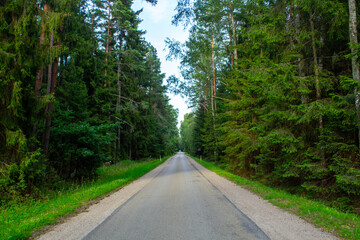 Fototapeta na wymiar Fantastic road among the green pines of an immense forest, Lithuania