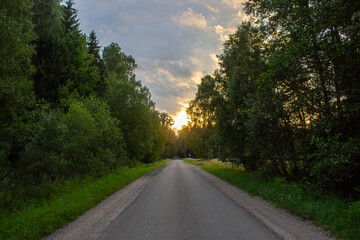 Fantastic road among the green pines of an immense forest with sunset in background ,  Lithuania