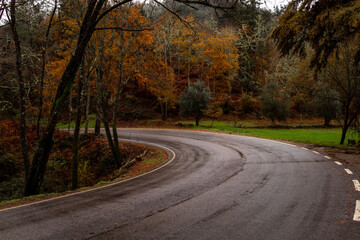 National road in autumn colors , Viseu, Portugal