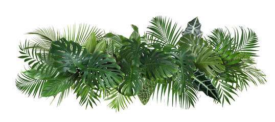 Different fresh tropical leaves on white background. Banner design