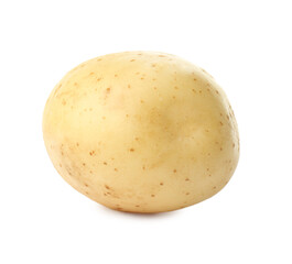 Fresh raw organic potato isolated on white