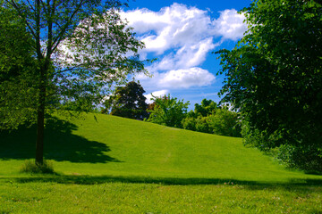 green field and blue sky