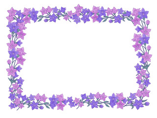 エレガントなフレーム素材のイラスト（桔梗）