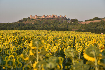 Fototapeta premium Panoramic view of the medieval Tuscan town Monteriggioni