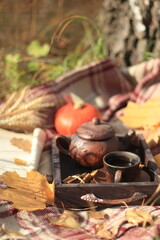 still life with autumn leaves and pumpkin
