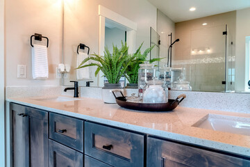 Bathroom vanity with two sinks and mirror that reflects shower stall and door