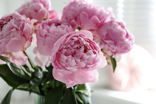 Bouquet of beautiful pink peonies indoors, closeup