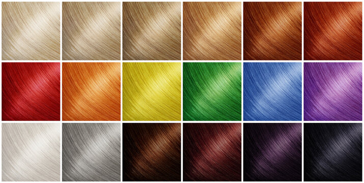 Hair Colour Chart Images – Browse 4,261 Stock Photos, Vectors, and Video