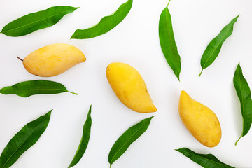 Mango with leaves on a white background.