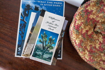 Joshua Tree National Park Book and Pamphlets on a living room Table