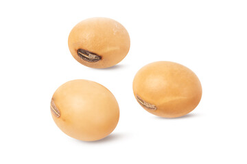 Soybeans isolated on white background.