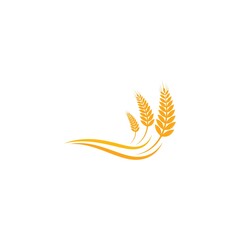 Agriculture wheat Logo Template vector icon