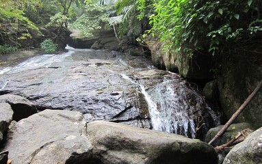 small waterfall in the forest