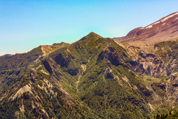 Naklejka premium Rock outcrop of regrowth below Mt St Helens