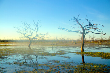 Ba&ntilde;ado la Estrella Formosa, Argentina