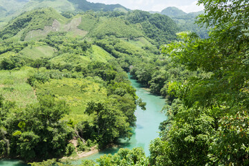 Fototapeta na wymiar blue river in the middle of the jungle