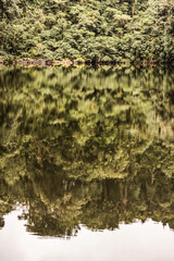 Fotografías de naturaleza en Costa Rica,para el stock de Fotofolio..Por Adrián Soto. www.adriansotofoto.com.2020.