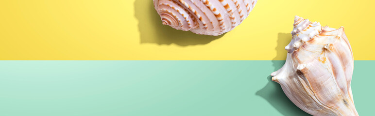 Summer concept with seashells overhead view - flat lay