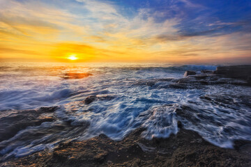 Sea TB Dawn wave froam flower