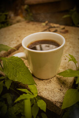 cafe natural
