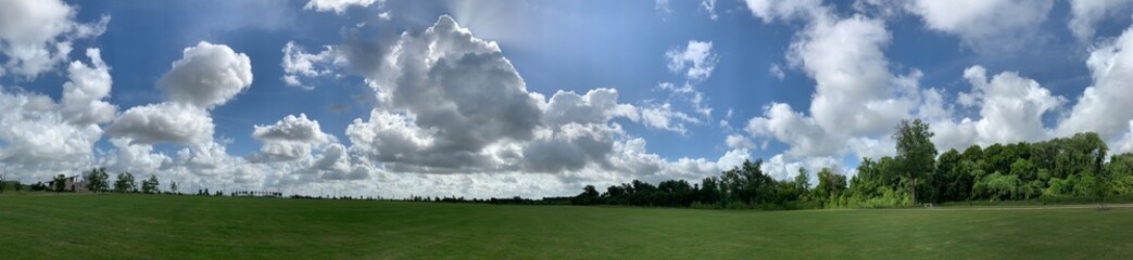 Panoramic of Public Park. Green Space