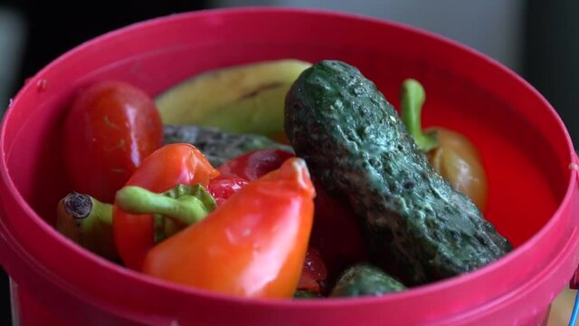 A woman throws away spoiled food. Household food waste. Food Spoilage. Fruit and vegetables in a dumpster, discarded uneaten